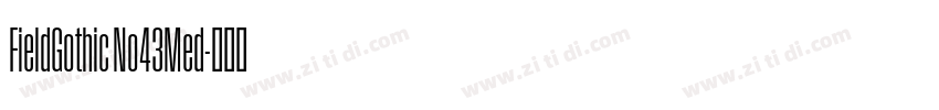 FieldGothic No43Med字体转换